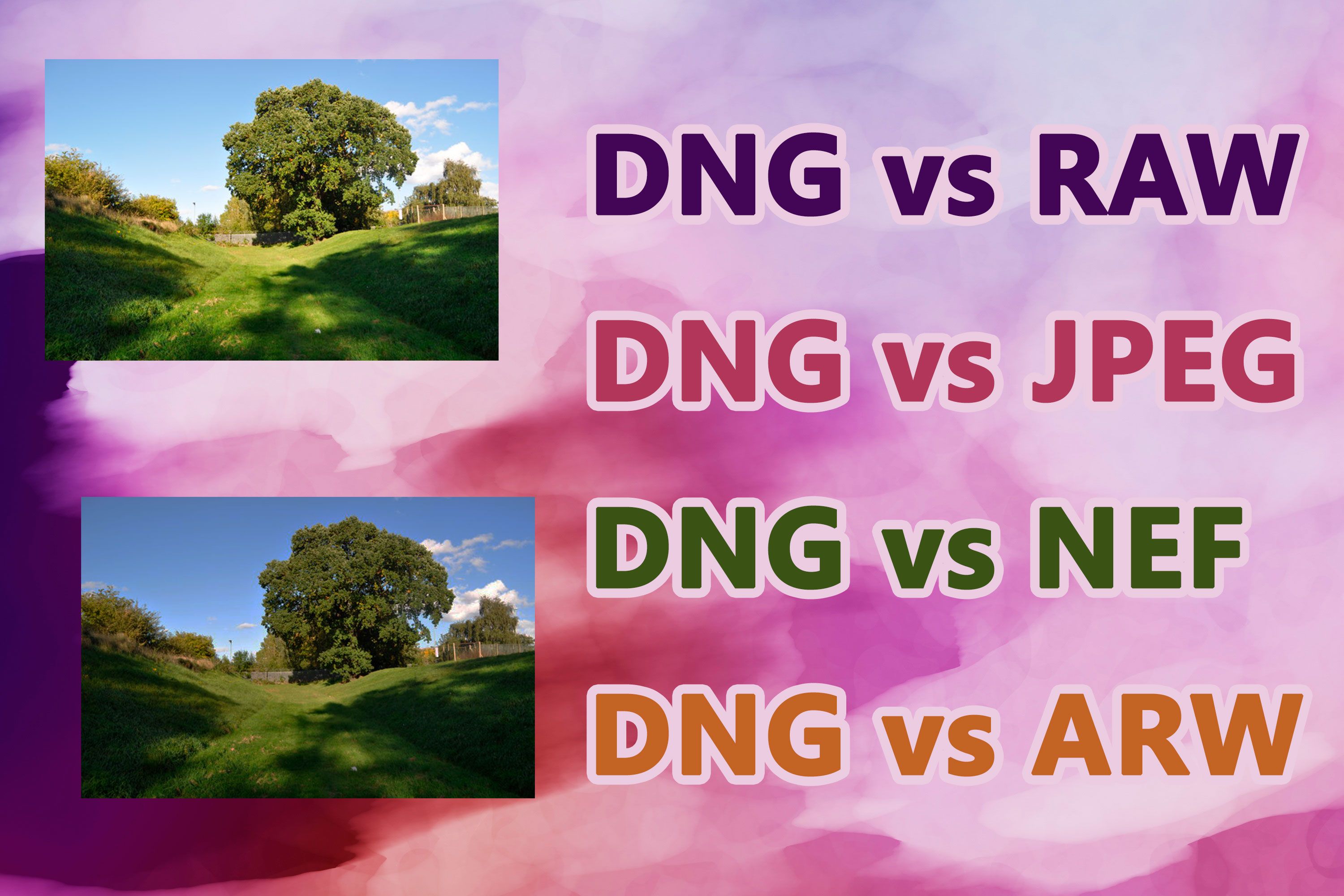 DNG vs RAW Formate..
