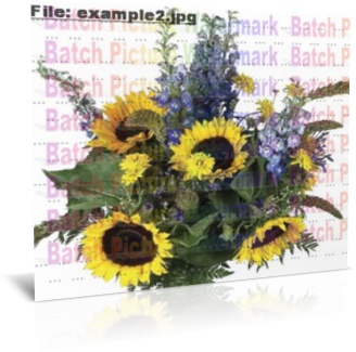 add text watermarks to image