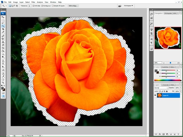 SoftOrbits Photo Background Remover - Screenshots. SoftOrbits Photo Background Remover - Screenshots.