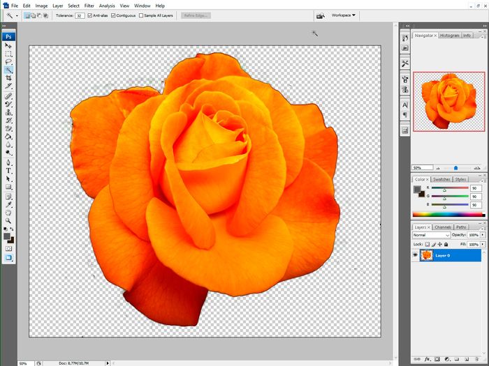 SoftOrbits Photo Background Remover - Screenshots. SoftOrbits Photo Background Remover - Screenshots.