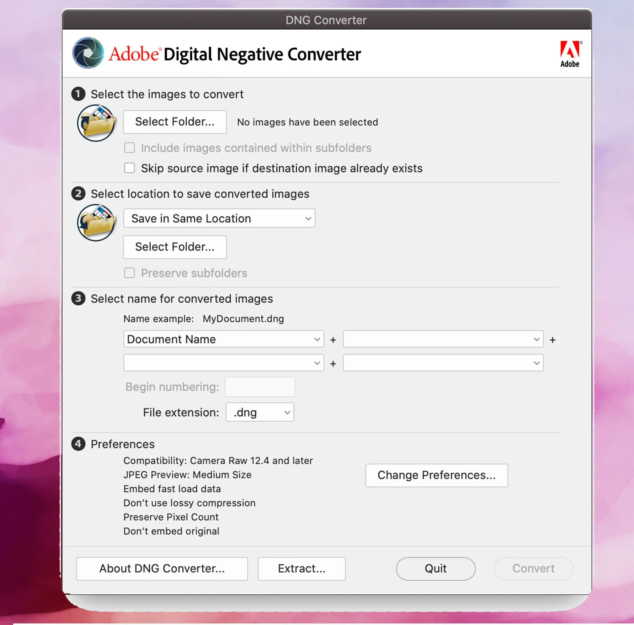 Adobe DNG Converter Screenshot, DNG-Bilder in JPEG konvertieren..