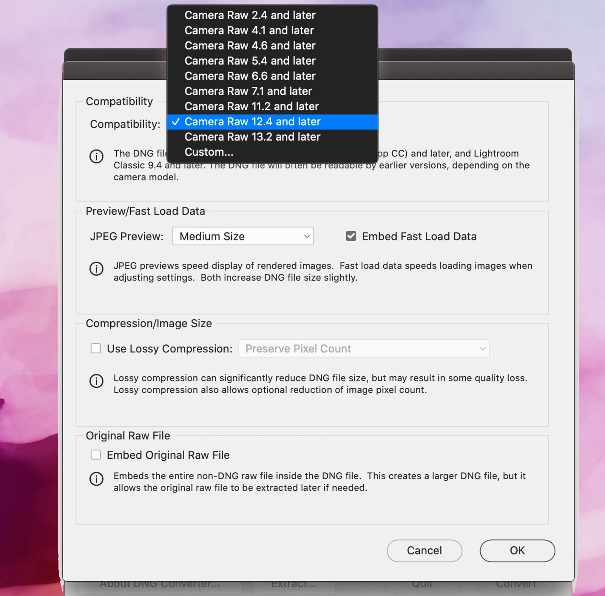 Adobe DNG Converter Screenshot, Kompatibilitätseinstellungen..