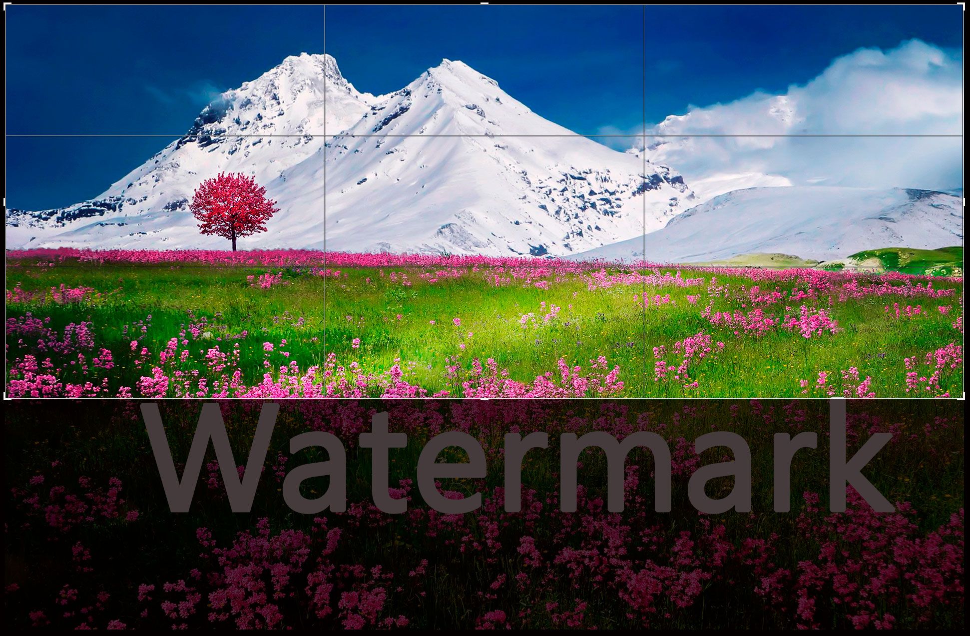 Alternative methods to remove the Adobe Stock watermark..