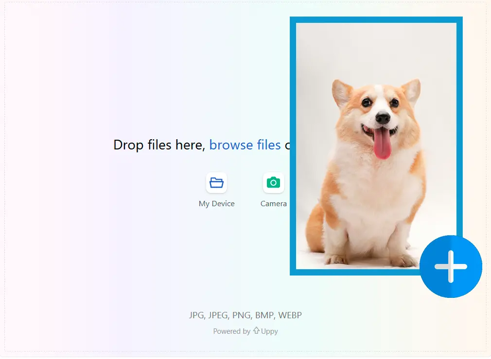 Laden Sie Ihr Bild hoch.
