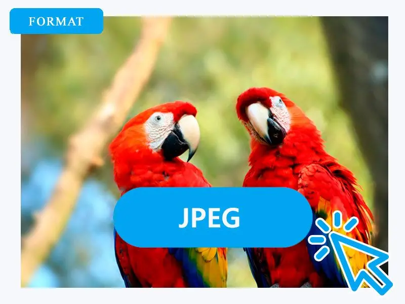 Wählen Sie JPG als Ausgabeformat.