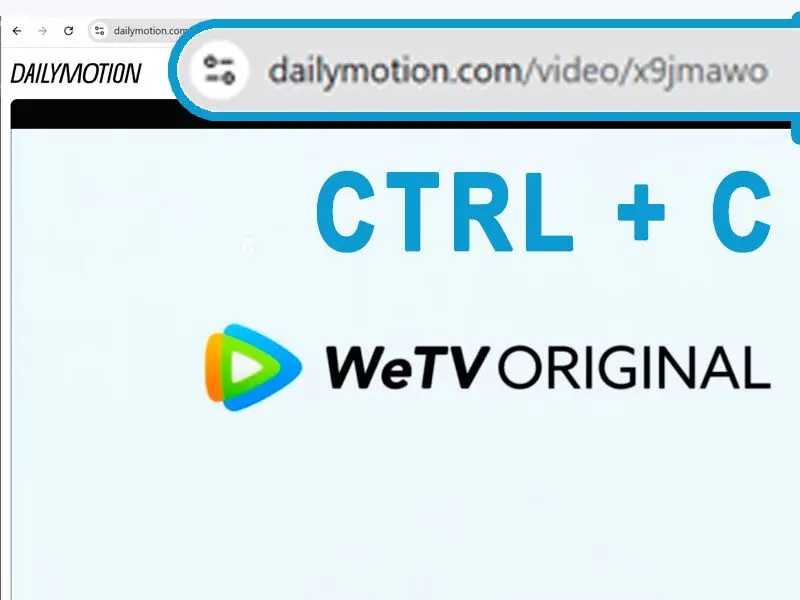 Dailymotion Video URL kopieren & einfügen.