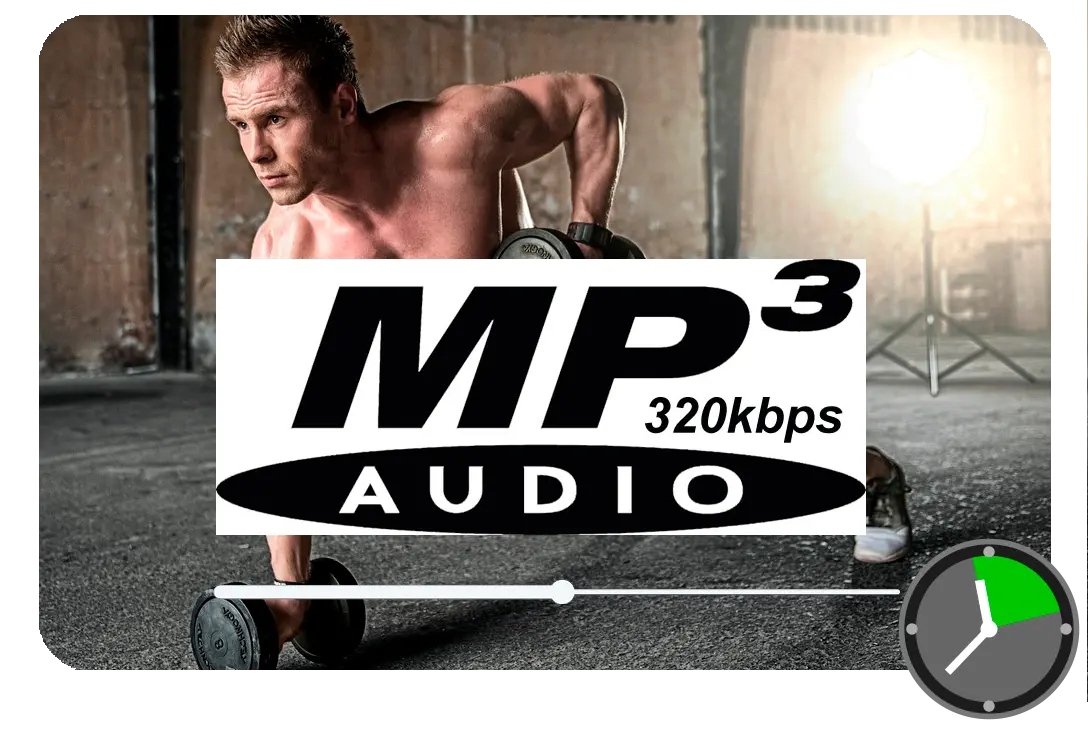 Wählen Sie MP3 als Ausgabe.