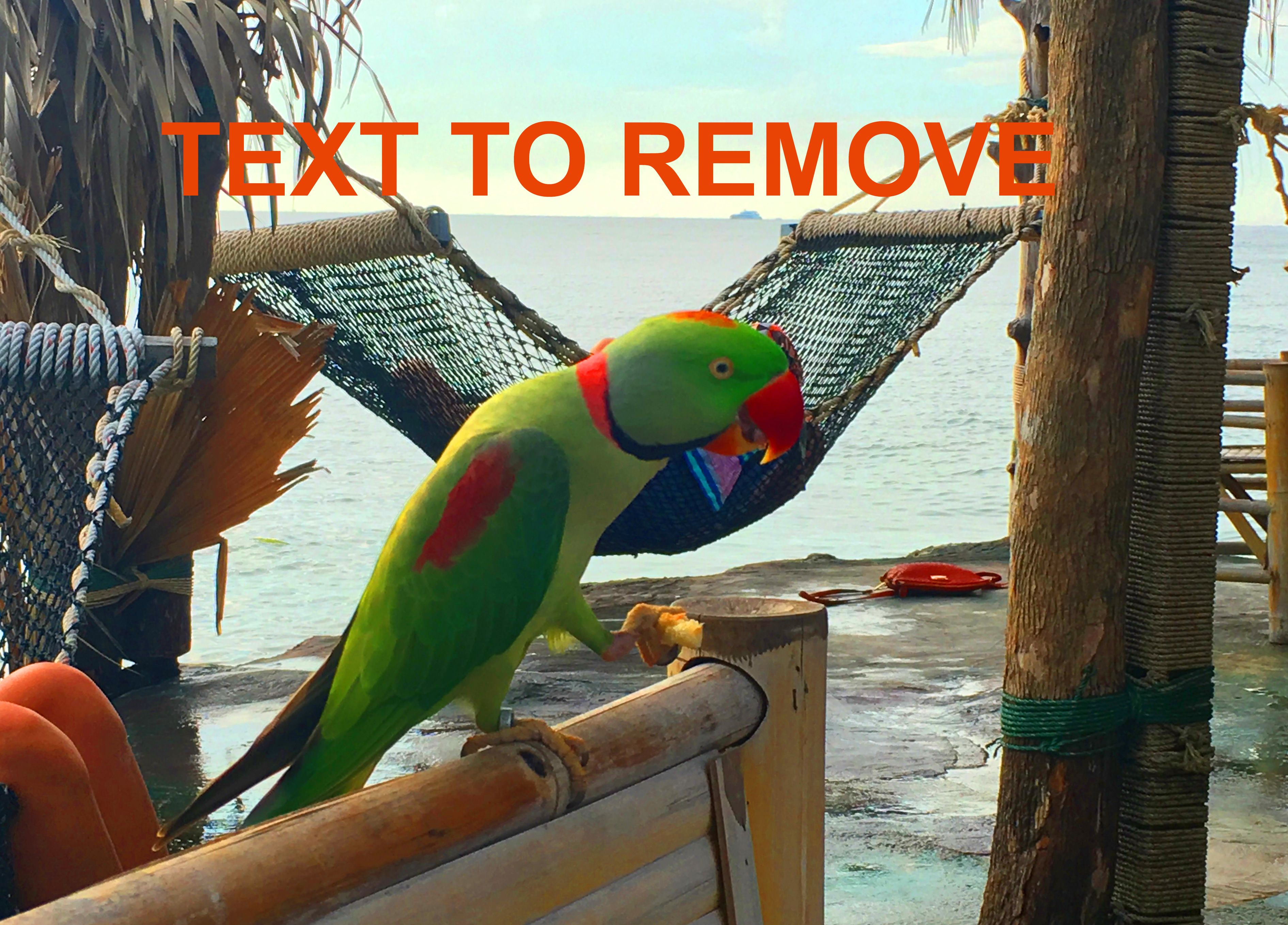 Text aus Bild entfernen - vorher.