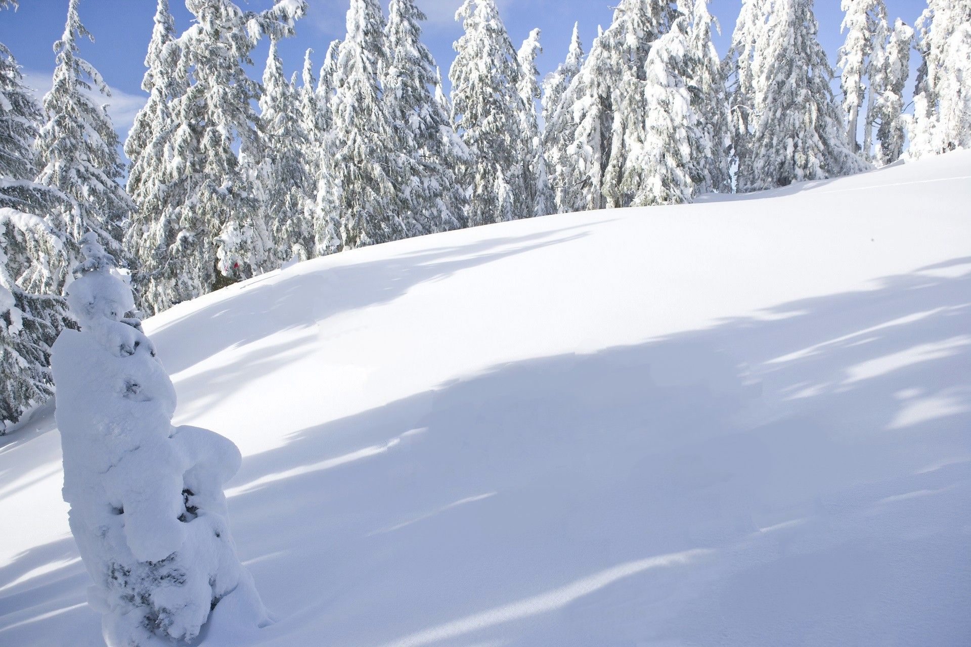 Wasserzeichen entfernen Nachher.