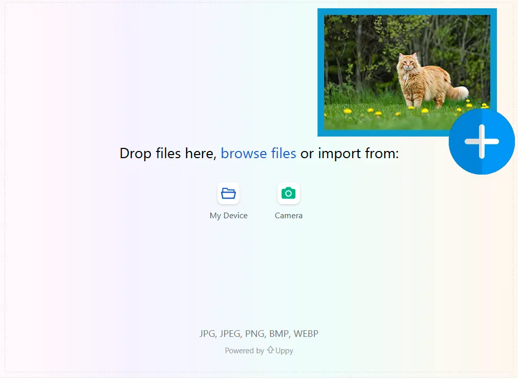 Referenzbild hochladen.