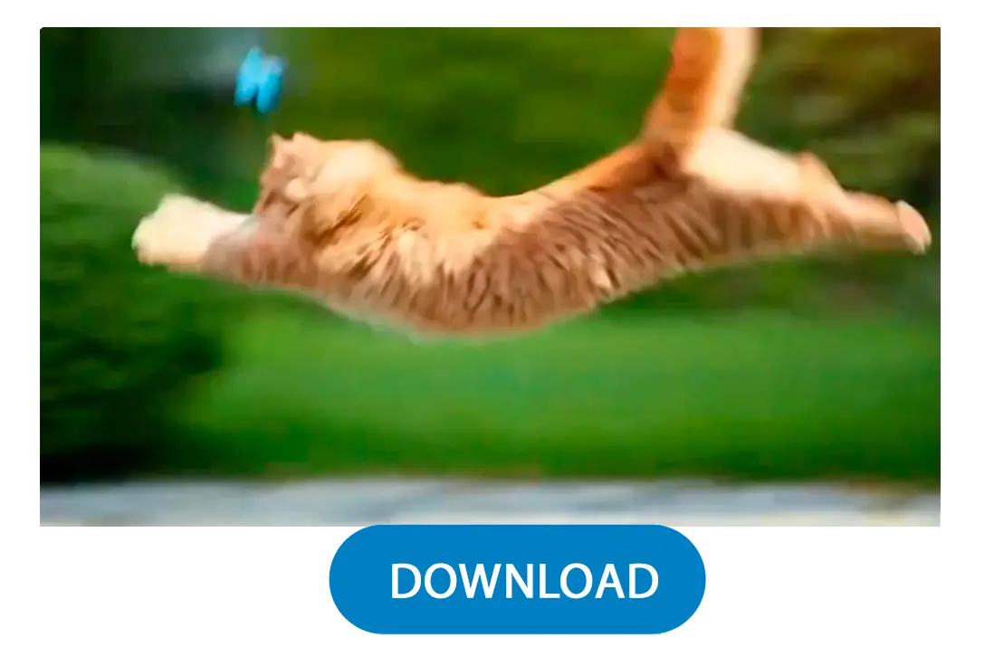 Generieren & Herunterladen.