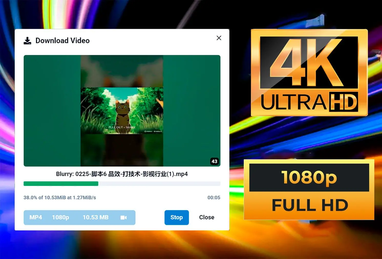 HD- und 4K-Qualität.