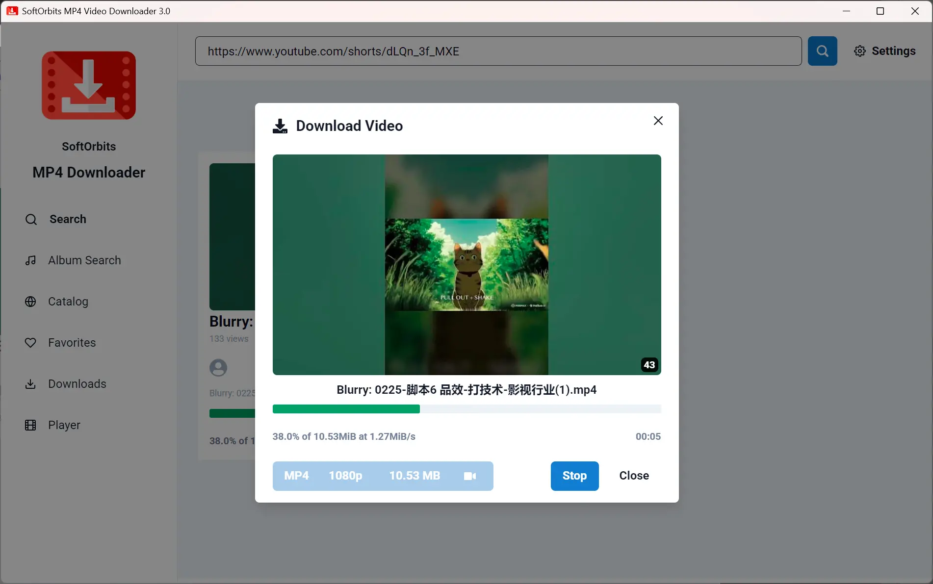 Starten Sie den Download.