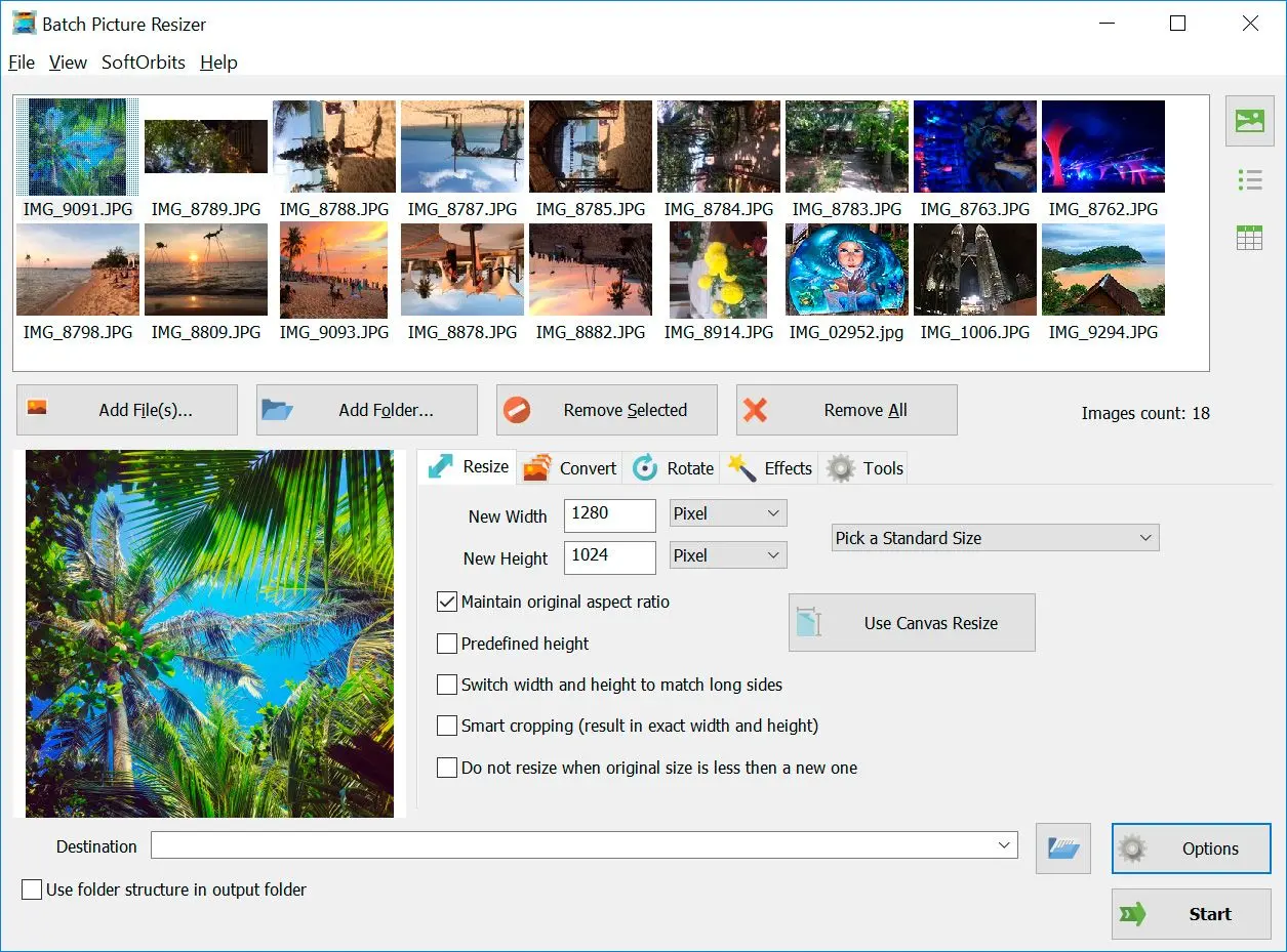 Nikon NEF zu JPG Konverter Software | Kostenloser Download - Windows 10, 11 / 7.